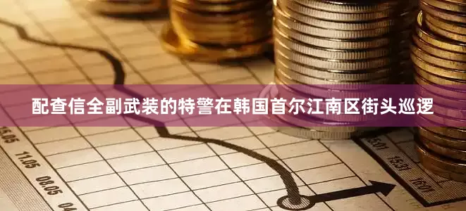 配查信全副武装的特警在韩国首尔江南区街头巡逻
