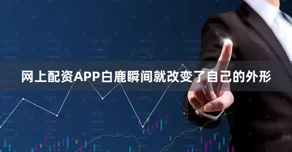 网上配资APP白鹿瞬间就改变了自己的外形