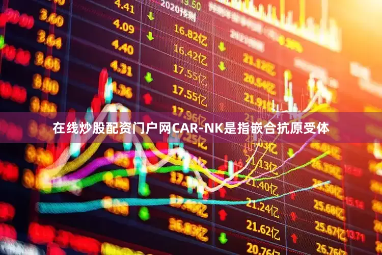 在线炒股配资门户网CAR-NK是指嵌合抗原受体