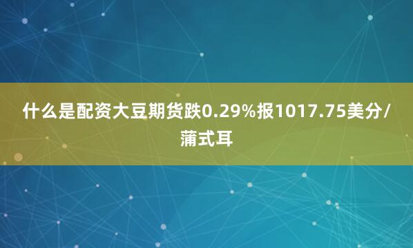 什么是配资大豆期货跌0.29%报1017.75美分/蒲式耳
