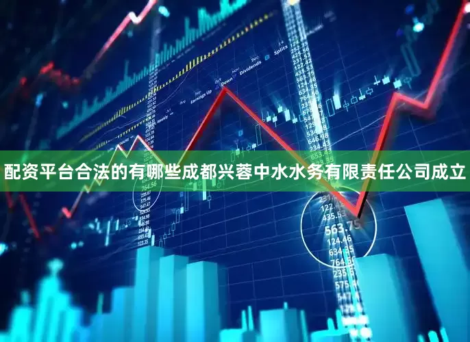 配资平台合法的有哪些成都兴蓉中水水务有限责任公司成立