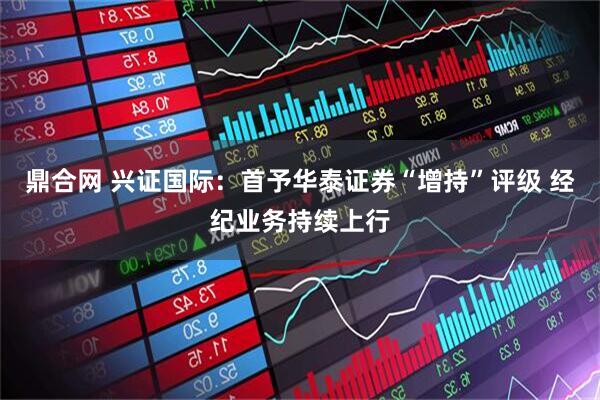 鼎合网 兴证国际：首予华泰证券“增持”评级 经纪业务持续上行
